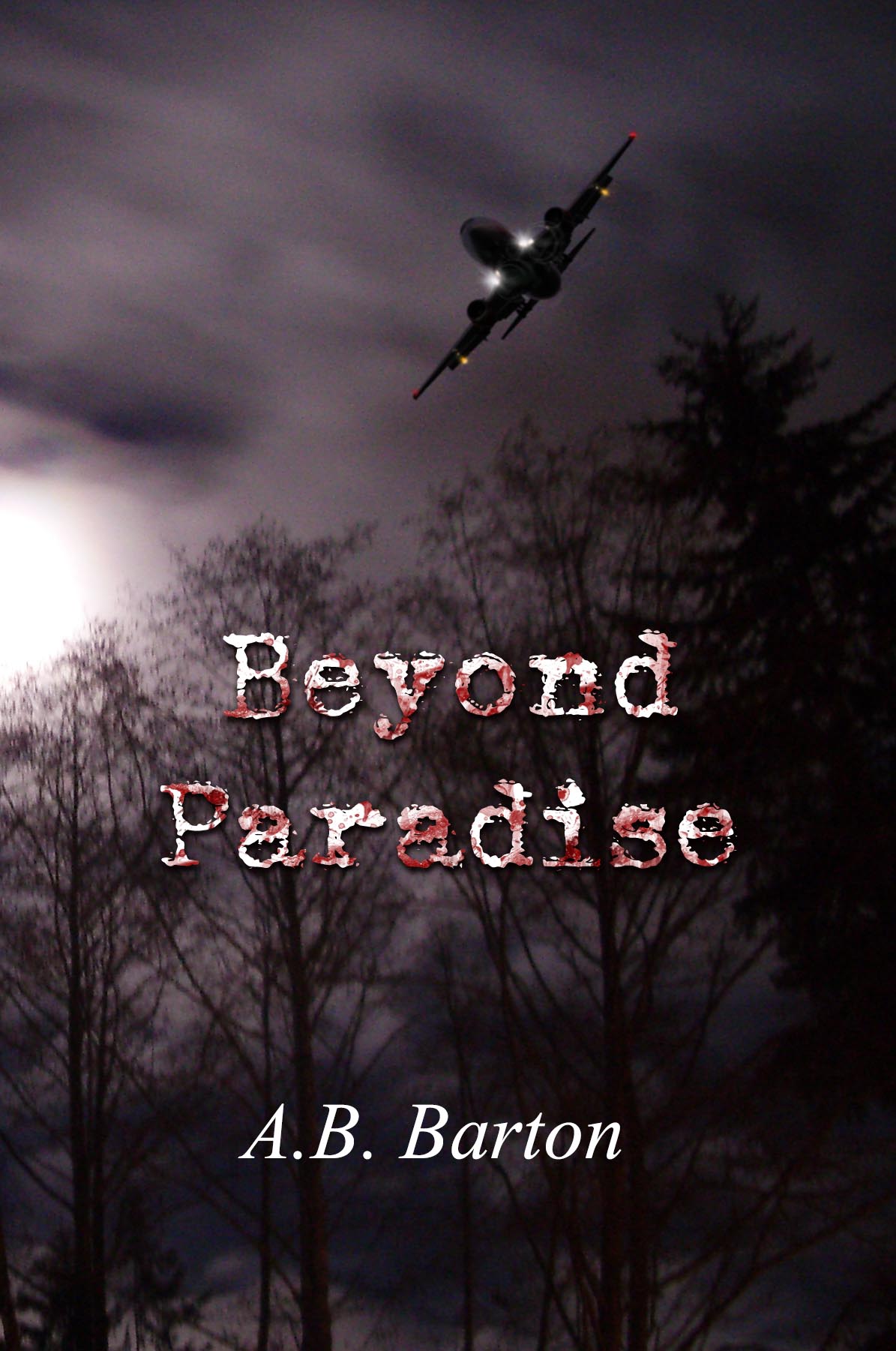 Beyond Paradise Book Cover